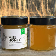 Load image into Gallery viewer, Herbal Maker Honey by Apiverte